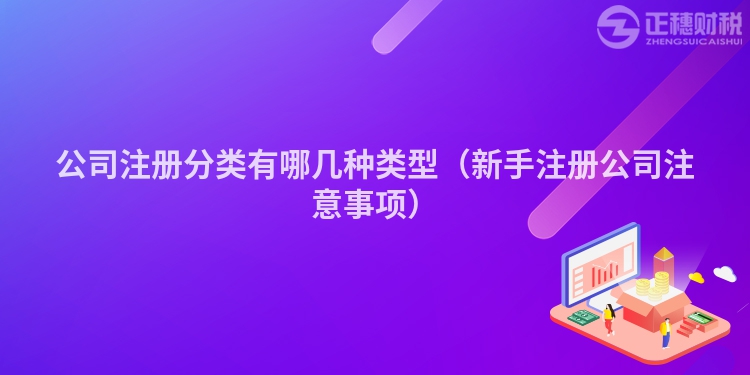 公司注册分类有哪几种类型（新手注册公司注意事项）