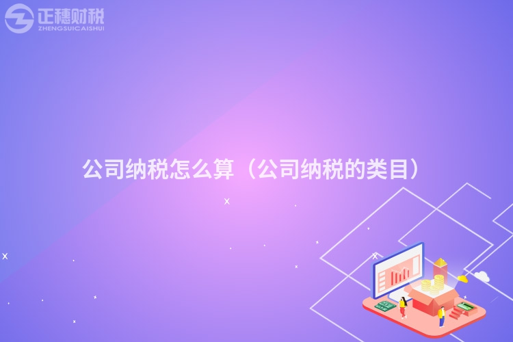 公司纳税怎么算（公司纳税的类目）