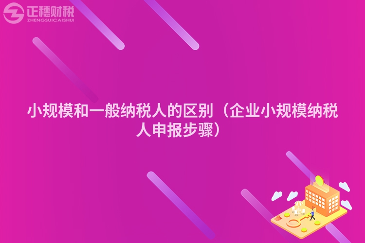 小规模和一般纳税人的区别（企业小规模纳税人申报步骤）