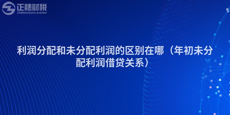 利润分配和未分配利润的区别在哪（年初未分配利润借贷关系）