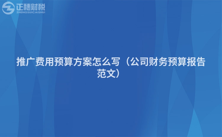 推广费用预算方案怎么写（公司财务预算报告范文）