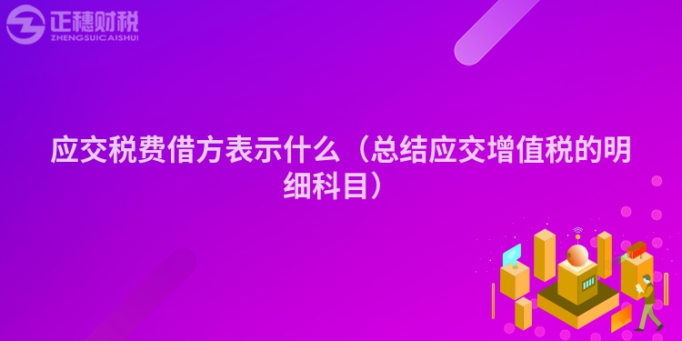 应交税费借方表示什么（总结应交增值税的明细科目）