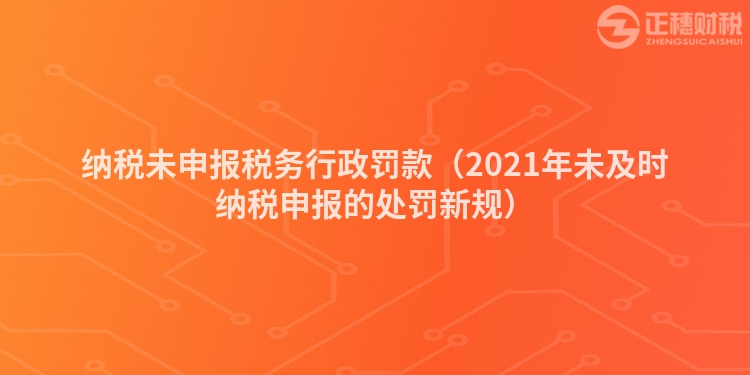 纳税未申报税务行政罚款（2023年未及时纳税申报的处罚新规）