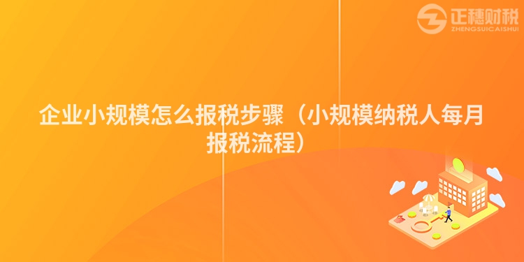 企业小规模怎么报税步骤（小规模纳税人每月报税流程）