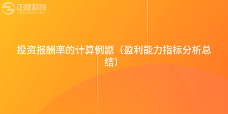 投资报酬率的计算例题（盈利能力指标分析总结）