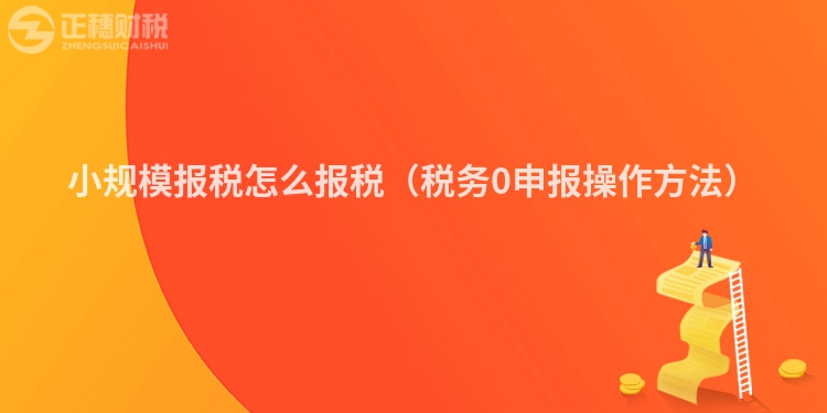 小规模报税怎么报税（税务0申报操作方法）