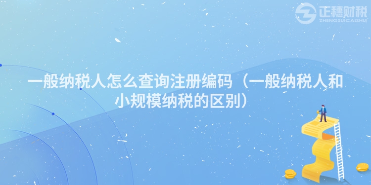 一般纳税人怎么查询注册编码（一般纳税人和小规模纳税的区别）
